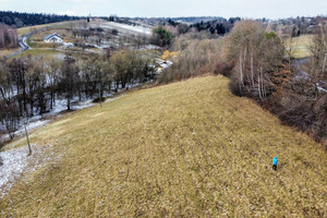 Działka na sprzedaż 5551m2 gorlicki Biecz Strzeszyn - zdjęcie 3