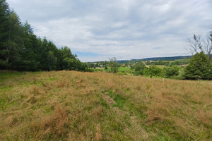 Działka na sprzedaż 5400m2 gorlicki Gorlice - zdjęcie 2