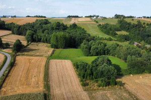 Działka na sprzedaż 9700m2 gorlicki Moszczenica - zdjęcie 1