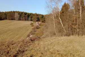 Działka na sprzedaż 1700m2 gorlicki Uście Gorlickie Smerekowiec - zdjęcie 1