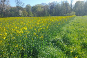 Działka na sprzedaż lubelski Jastków Ługów - zdjęcie 3