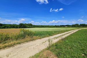 Działka na sprzedaż 4900m2 puławski Kazimierz Dolny - zdjęcie 3