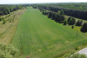 Działka na sprzedaż 29600m2 lipski Solec nad Wisłą Kłudzie - zdjęcie 3