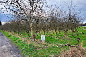 Działka na sprzedaż lubelski Konopnica Motycz - zdjęcie 2