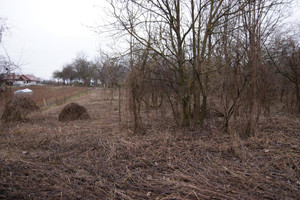 Działka na sprzedaż 6000m2 puławski Kazimierz Dolny - zdjęcie 2