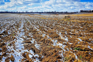 Działka na sprzedaż lubelski Jastków Płouszowice-Kolonia - zdjęcie 3