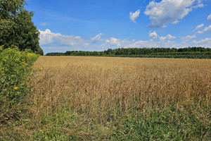 Działka na sprzedaż 3342m2 opolski Karczmiska Karczmiska Drugie - zdjęcie 3