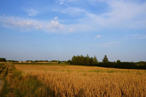 Działka na sprzedaż 3000m2 lubelski Jastków Marysin - zdjęcie 2