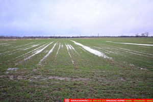 Działka na sprzedaż lubelski Jabłonna Wierciszów - zdjęcie 1