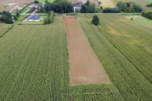 Działka na sprzedaż lubelski Jabłonna Chmiel-Kolonia - zdjęcie 3