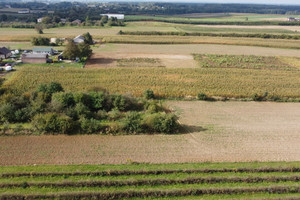 Działka na sprzedaż 850m2 lubelski Konopnica Motycz - zdjęcie 3