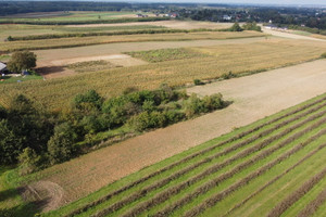 Działka na sprzedaż 1300m2 lubelski Konopnica Motycz - zdjęcie 3