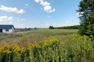 Działka na sprzedaż 16341m2 lubartowski Lubartów Nowodwór - zdjęcie 2