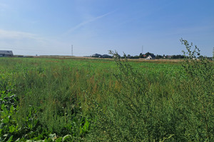 Działka na sprzedaż 6000m2 łęczyński Cyców Malinówka - zdjęcie 2