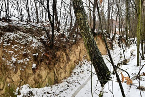 Działka na sprzedaż puławski Nałęczów Piotrowice - zdjęcie 1