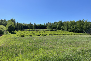 Działka na sprzedaż 3580m2 puławski Kazimierz Dolny Jeziorszczyzna - zdjęcie 3