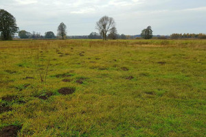 Działka na sprzedaż 2200m2 lubartowski Kamionka Samoklęski - zdjęcie 2