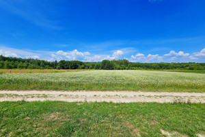 Działka na sprzedaż 4900m2 puławski Kazimierz Dolny - zdjęcie 2