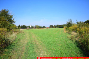 Działka na sprzedaż 1000m2 lubelski Niemce Majdan Krasieniński - zdjęcie 2