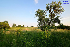 Działka na sprzedaż puławski Nałęczów Piotrowice - zdjęcie 3