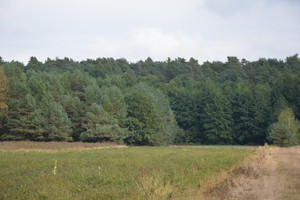 Działka na sprzedaż łęczyński Milejów Klarów - zdjęcie 3