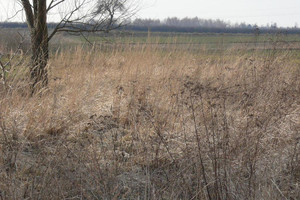 Działka na sprzedaż lubelski Niemce - zdjęcie 1