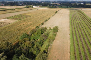 Działka na sprzedaż 1300m2 lubelski Konopnica Motycz - zdjęcie 2