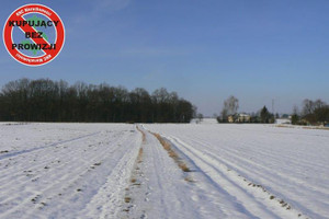 Działka na sprzedaż 8000m2 lubelski Niedrzwica Duża Krężnica Jara - zdjęcie 1