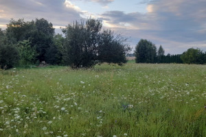 Działka na sprzedaż łęczyński Milejów Starościce - zdjęcie 1