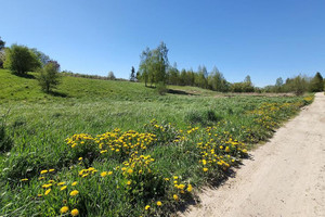 Działka na sprzedaż 2000m2 lubelski Jastków Natalin - zdjęcie 4