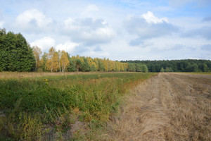 Działka na sprzedaż łęczyński Milejów Klarów - zdjęcie 1