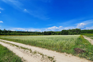 Działka na sprzedaż 4900m2 puławski Kazimierz Dolny - zdjęcie 3