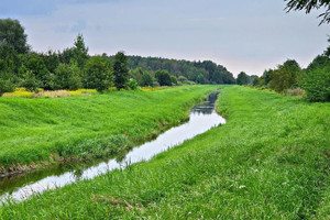 Działka na sprzedaż 21100m2 łęczyński Ludwin Dąbrowa - zdjęcie 1