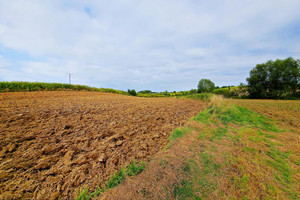 Działka na sprzedaż 6065m2 puławski Kurów Buchałowice - zdjęcie 2