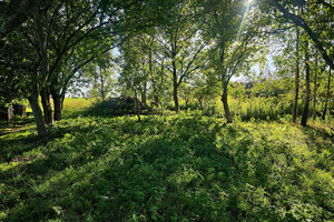 Działka na sprzedaż lubelski Jastków Smugi - zdjęcie 3