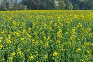 Działka na sprzedaż lubelski Jastków Ługów - zdjęcie 2