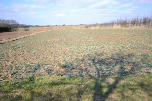 Działka na sprzedaż 6800m2 lubelski Konopnica Motycz - zdjęcie 3