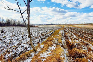 Działka na sprzedaż lubelski Jastków Płouszowice-Kolonia - zdjęcie 2