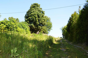 Działka na sprzedaż lubelski Jastków Snopków - zdjęcie 2