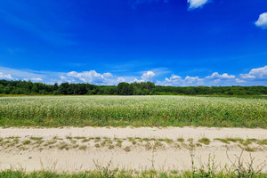 Działka na sprzedaż 4900m2 puławski Kazimierz Dolny - zdjęcie 2