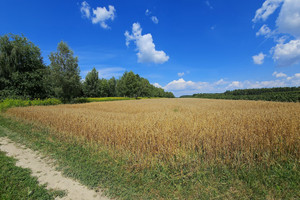 Działka na sprzedaż 3342m2 opolski Karczmiska Karczmiska Drugie - zdjęcie 1