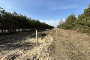 Działka na sprzedaż 1428m2 zwoleński Kazanów Wólka Gonciarska - zdjęcie 1