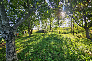 Działka na sprzedaż 3024m2 lubelski Jastków Smugi - zdjęcie 1