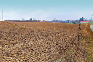 Działka na sprzedaż lubelski Jastków Tomaszowice - zdjęcie 2