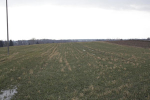 Działka na sprzedaż lubelski Jastków Tomaszowice - zdjęcie 1