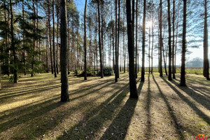 Działka na sprzedaż 1723m2 zgierski Aleksandrów Łódzki Słowak - zdjęcie 4