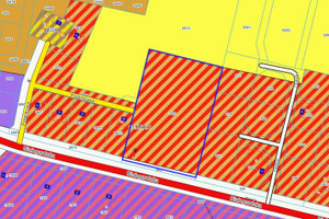 Działka na sprzedaż 15000m2 kołobrzeski Kołobrzeg Niekanin Polankowa - zdjęcie 1