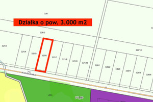 Działka na sprzedaż 3002m2 kołobrzeski Dygowo - zdjęcie 3