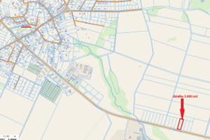 Działka na sprzedaż 3000m2 kołobrzeski Dygowo - zdjęcie 1