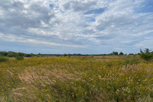 Działka na sprzedaż 17598m2 kołobrzeski Kołobrzeg Stary Borek Stary Borek - zdjęcie 3